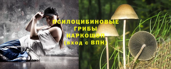 дживик Абаза