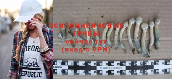 дживик Абаза