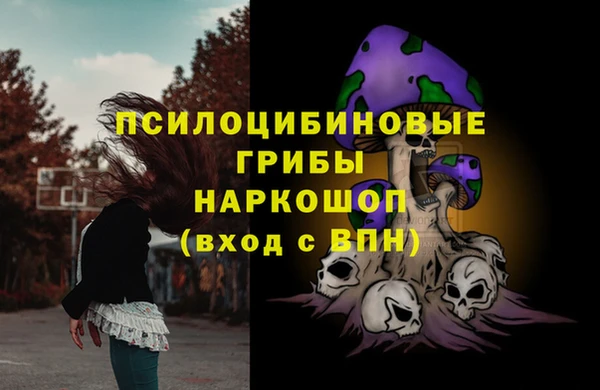 гашик Алексеевка