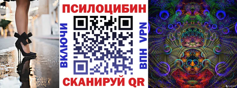Галлюциногенные грибы Psilocybine cubensis Болохово